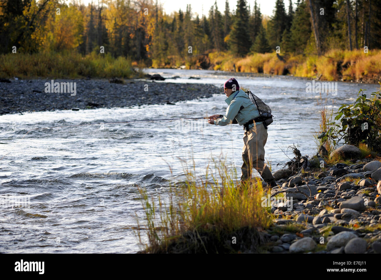 Woman casts for wild steelhead on Deep Creek on the Western Kenai Peninsula, Alaska September 2009.  Flowing into Cook Inlet north of Homer, the waters of Deep Creek and the Anchor River host late fall runs of wild steelhead. Stock Photo