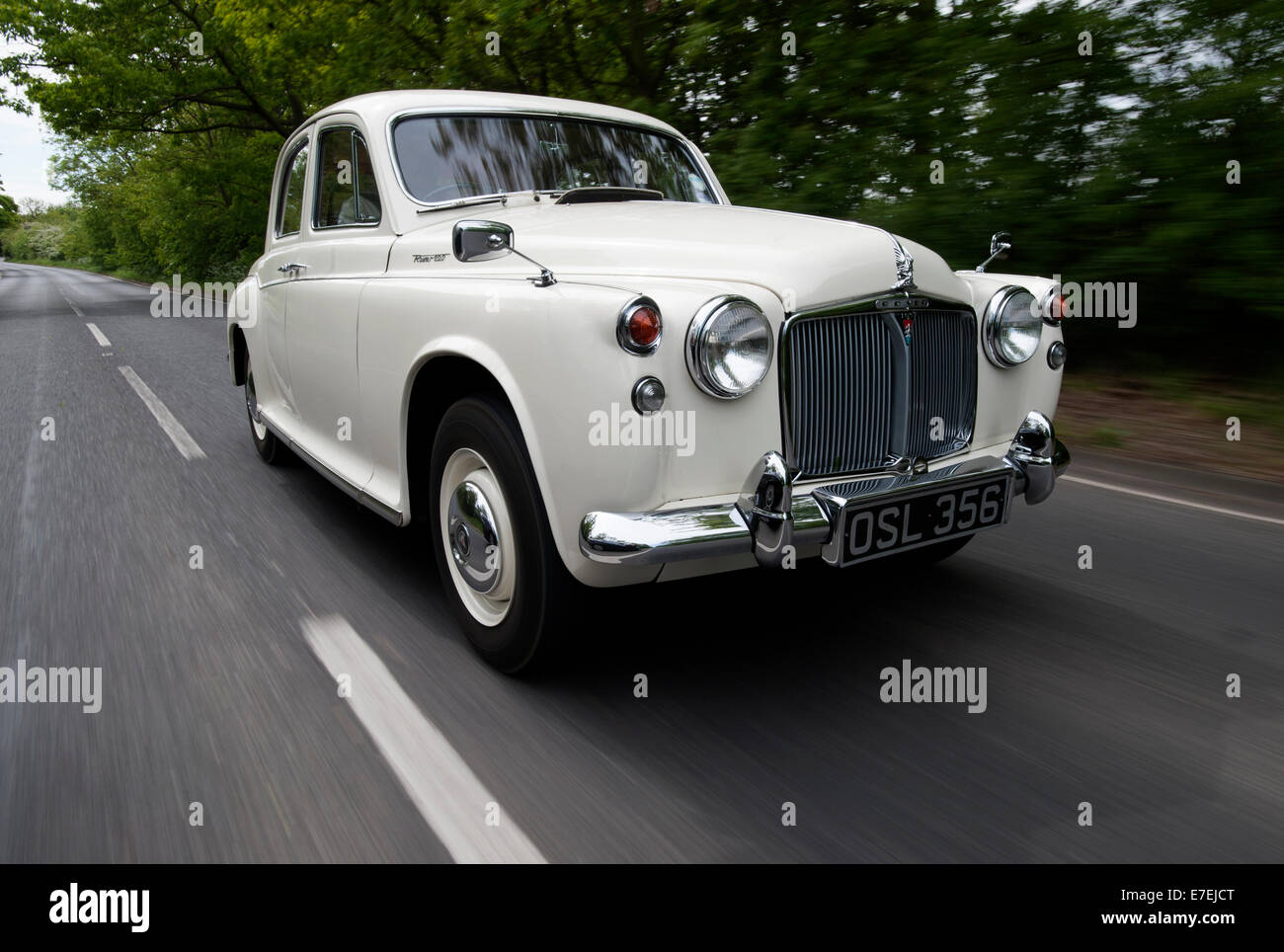 Rover 100 P4 classic British car 'Aunty Rover' driving Stock Photo