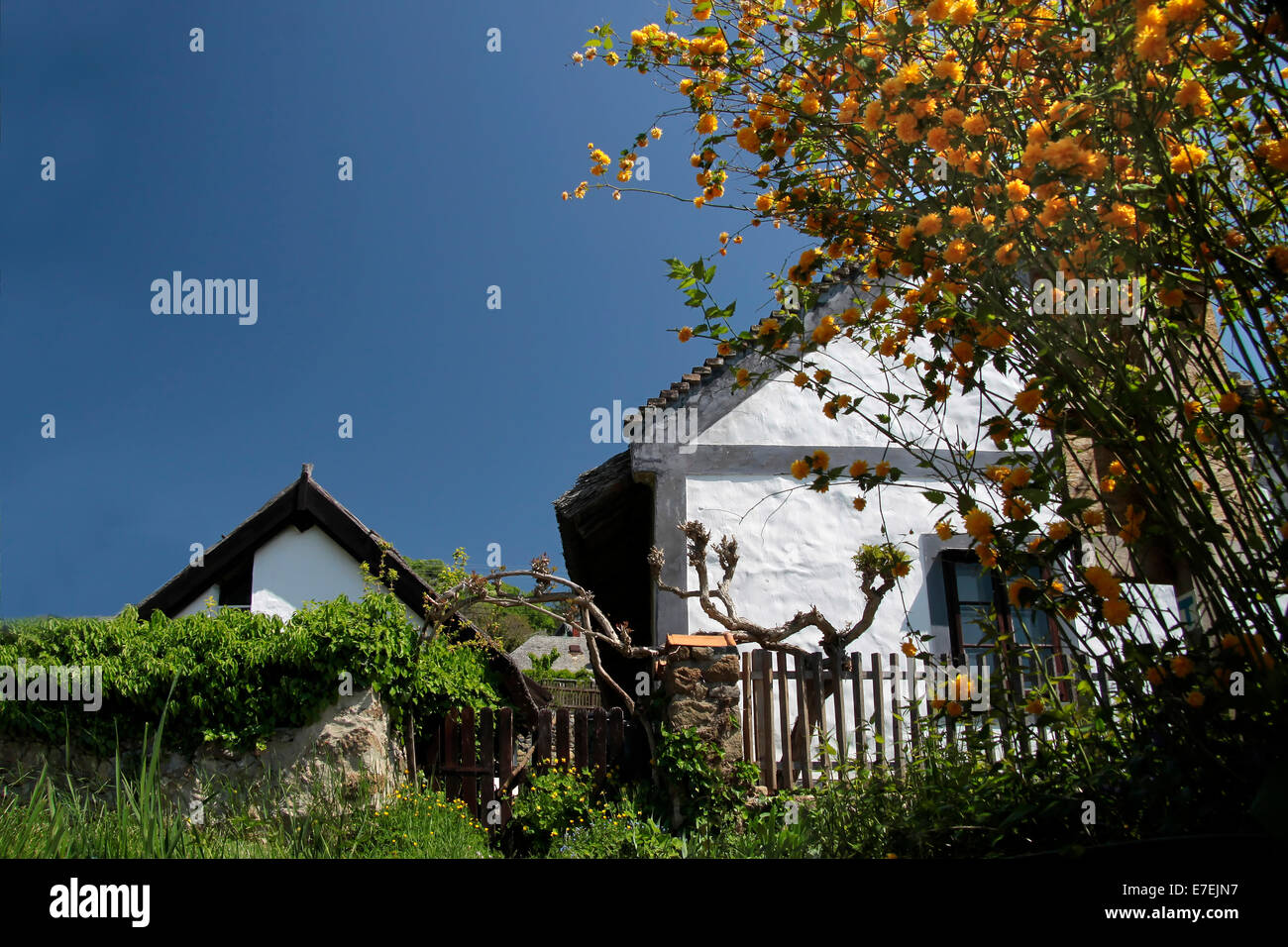 Old farmhouses in Szigliget,  Lake Balaton, Hungary Stock Photo