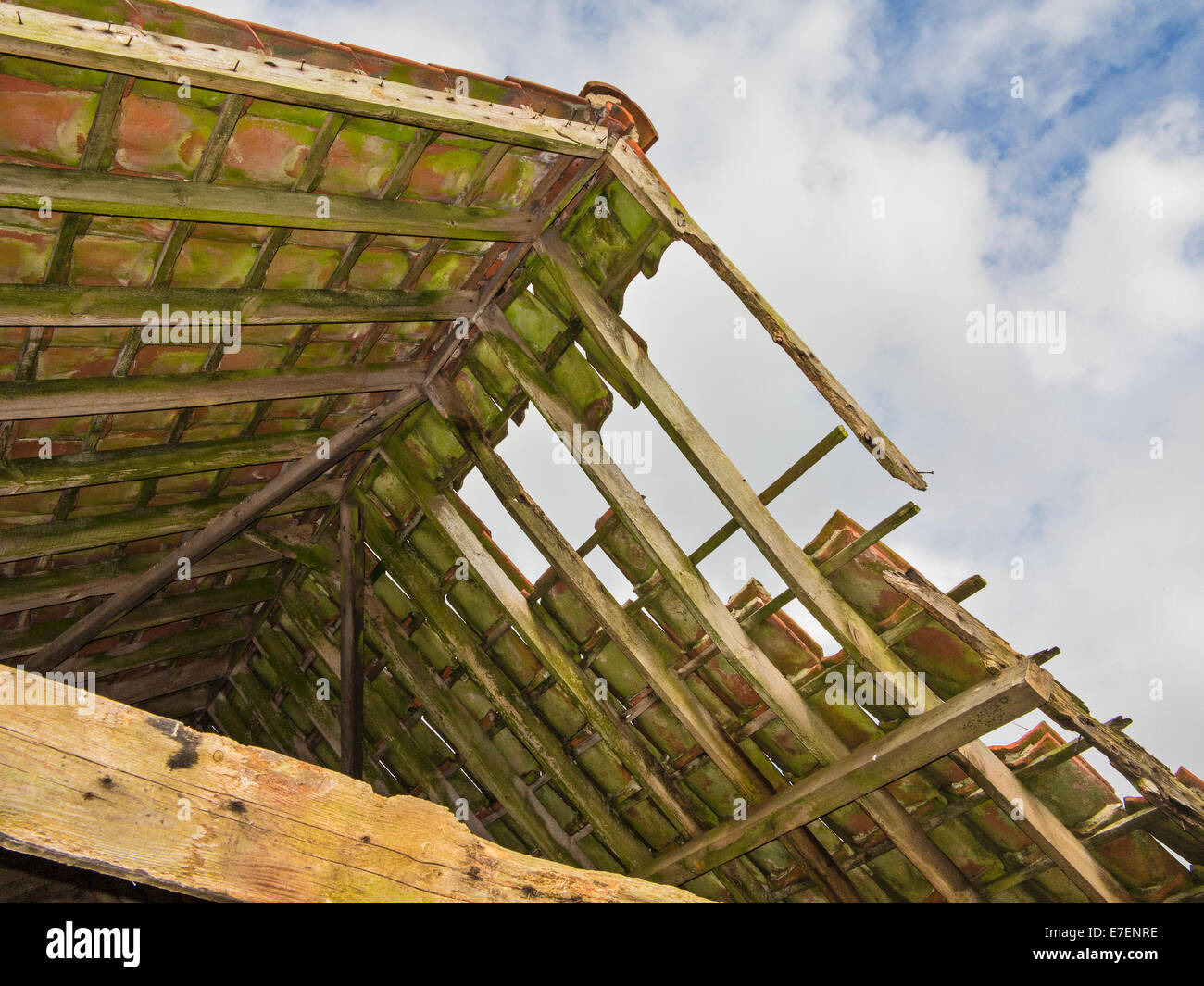 The roof of a tumbledown barn in the Lincolnshire fens, open to the sky Stock Photo