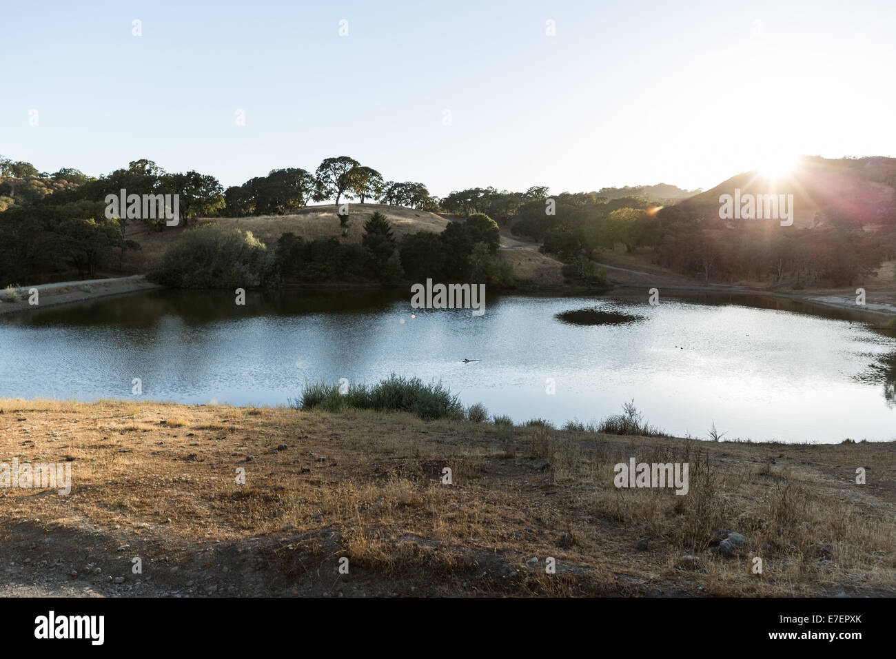 Pond and grassland with sun burst in background Stock Photo