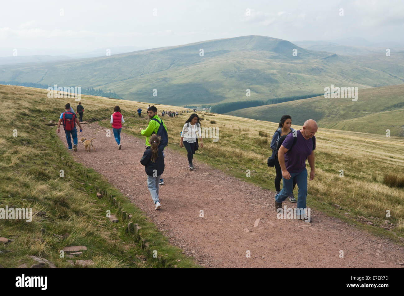 Walkers on footpath to Pen Y Fan in Brecon Beacons National Park Powys South Wales UK Stock Photo