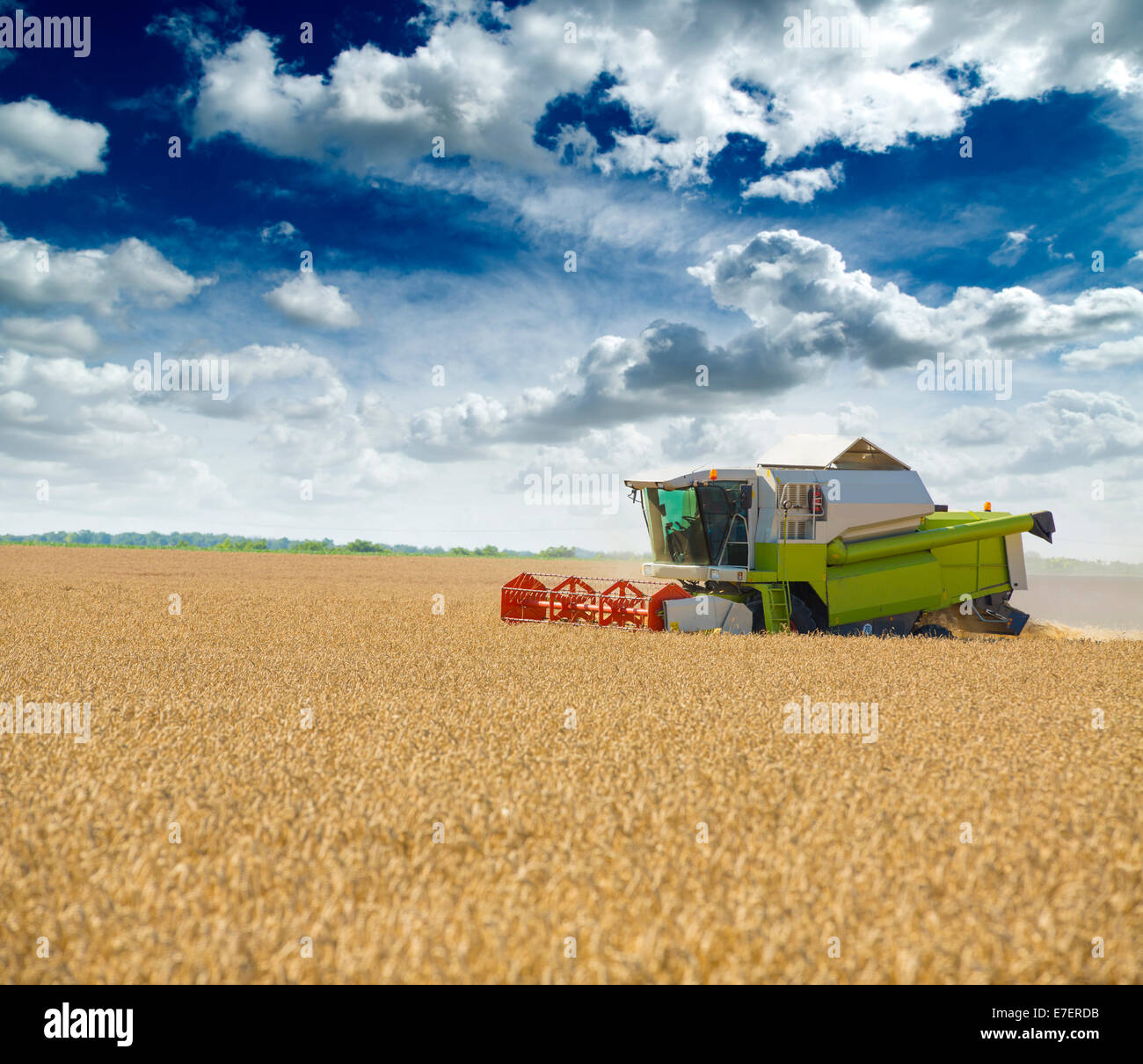 Combine harvester in action on wheat field Stock Photo