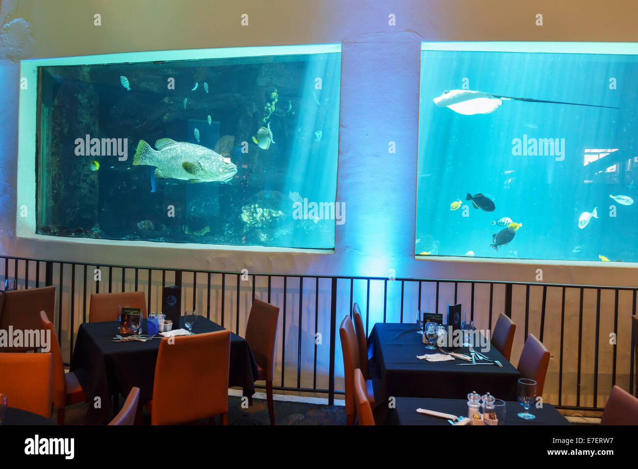 Waikiki aquarium honolulu hires stock photography and images Alamy