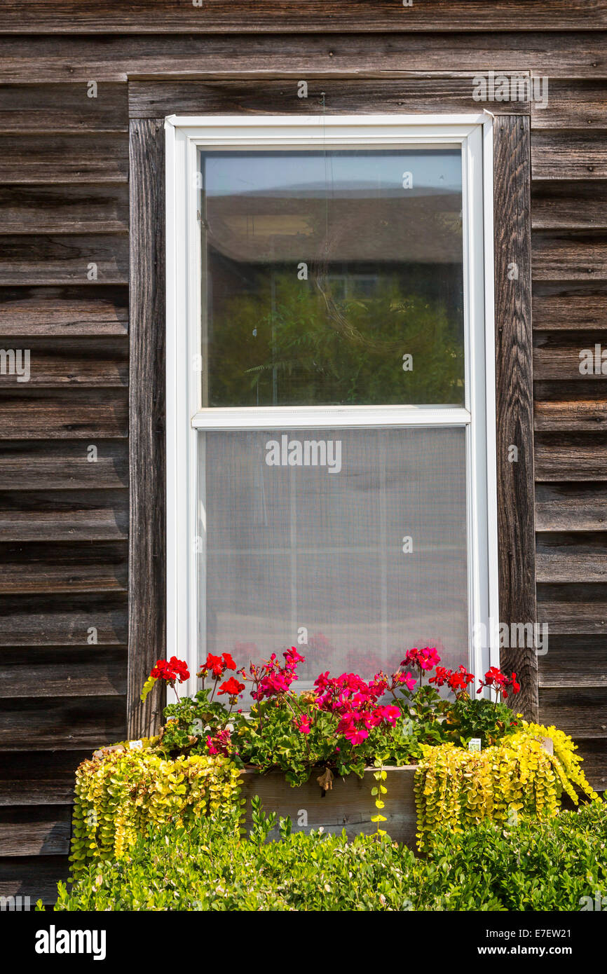 A cottage window with decorative flowers at the Little Red Wagon shop in the Amana Colonies, Iowa, USA. Stock Photo