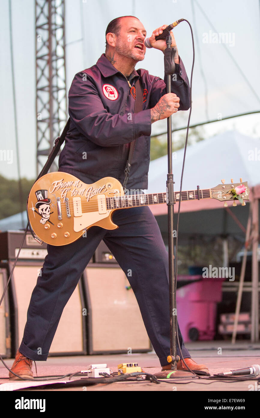 mike ness gold top