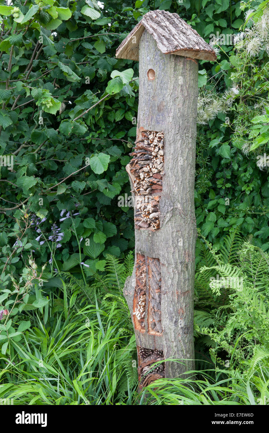 Garden - Jordans Wildlife Garden - view of garden bird box made from old tree with bug and insect hotel - Desig Stock Photo