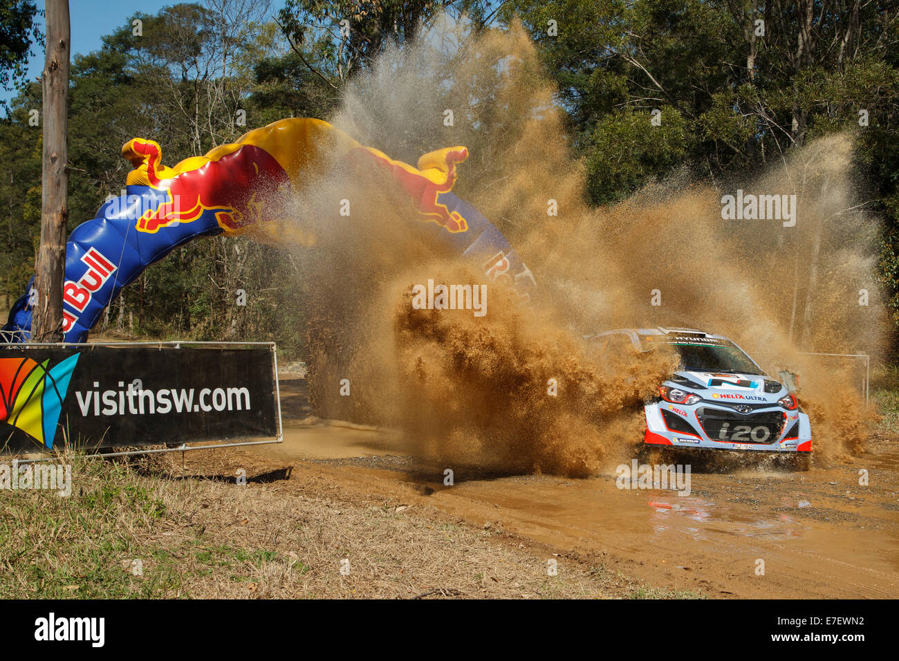 Cool World Rally Championship Drivers Photos