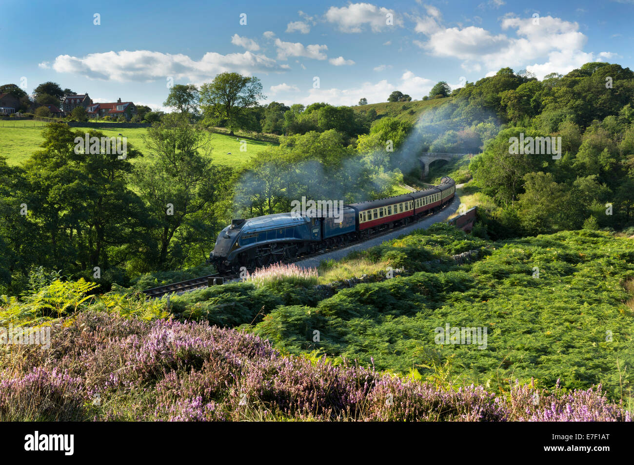 Sir Nigel Gresley at Darnholme on the North Yorkshire Moors Steam Railway line, England Stock Photo