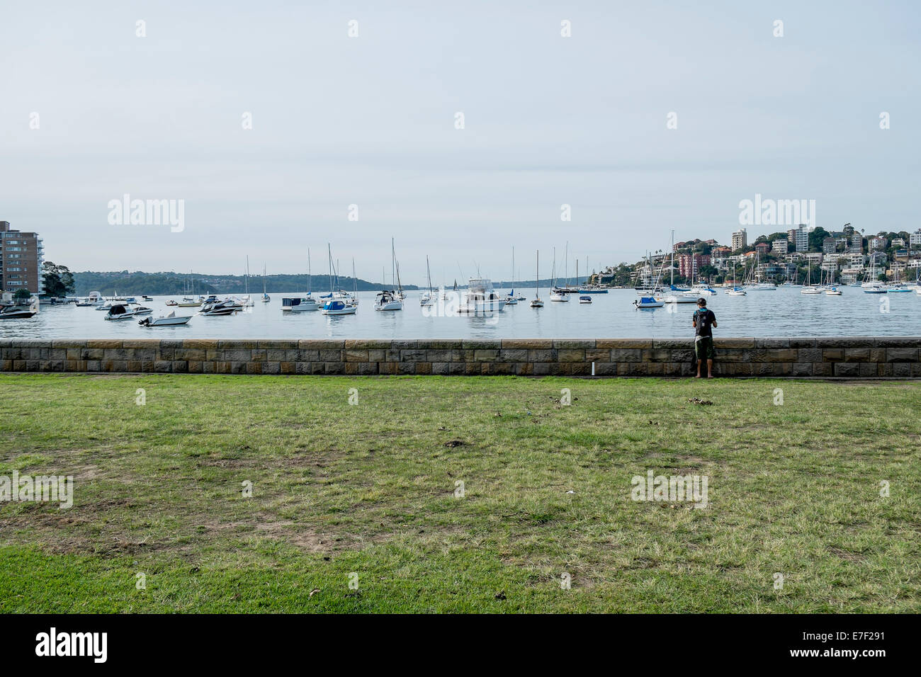 A bay in Sydney with its cove, lawned reserve. Stock Photo