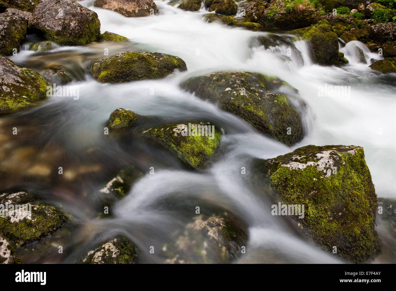 Brook with moss-covered stones, Golling Waterfall, Salzburg, Austria Stock Photo