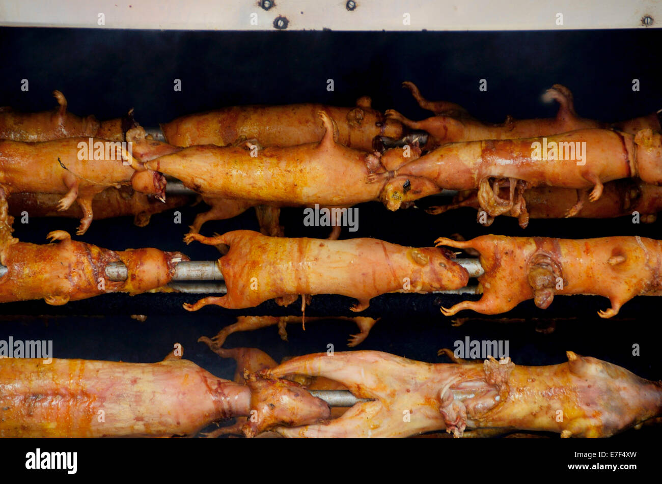Guinea pigs on a grill, Quito, Ecuador, South America Stock Photo Alamy