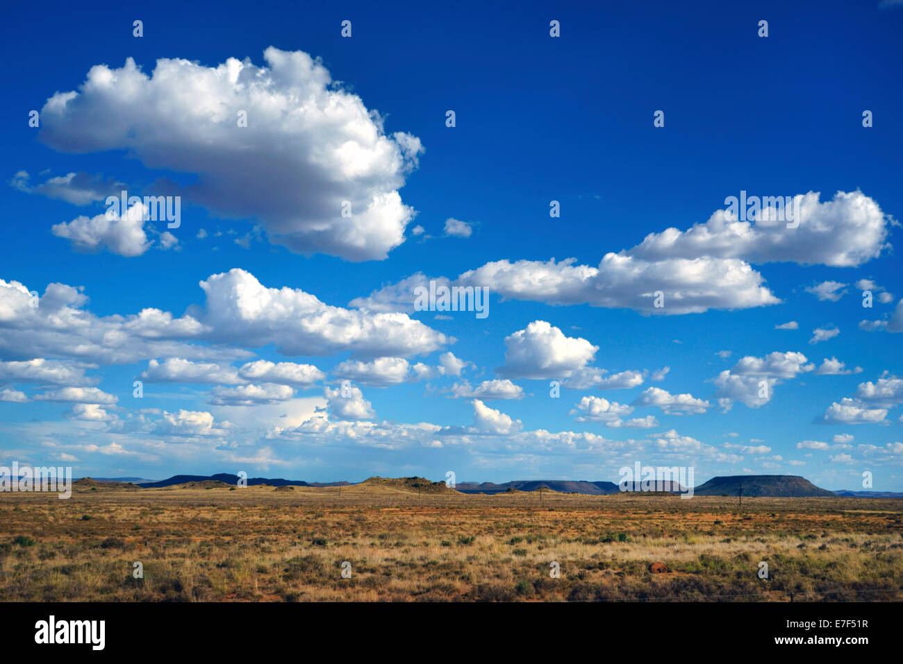 Landscape in the Karoo semi-desert, central plateau, Highveld, Northern Cape, South Africa Stock Photo
