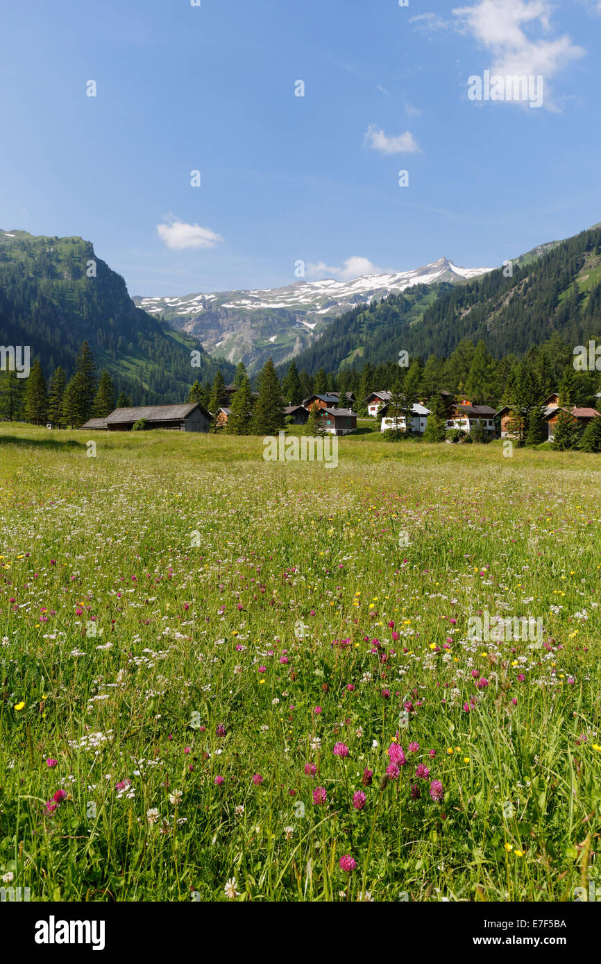 Nenzinger Himmel alpine meadow, Gamperdonatal, Nenzing parish, Rätikon, Vorarlberg, Austria Stock Photo