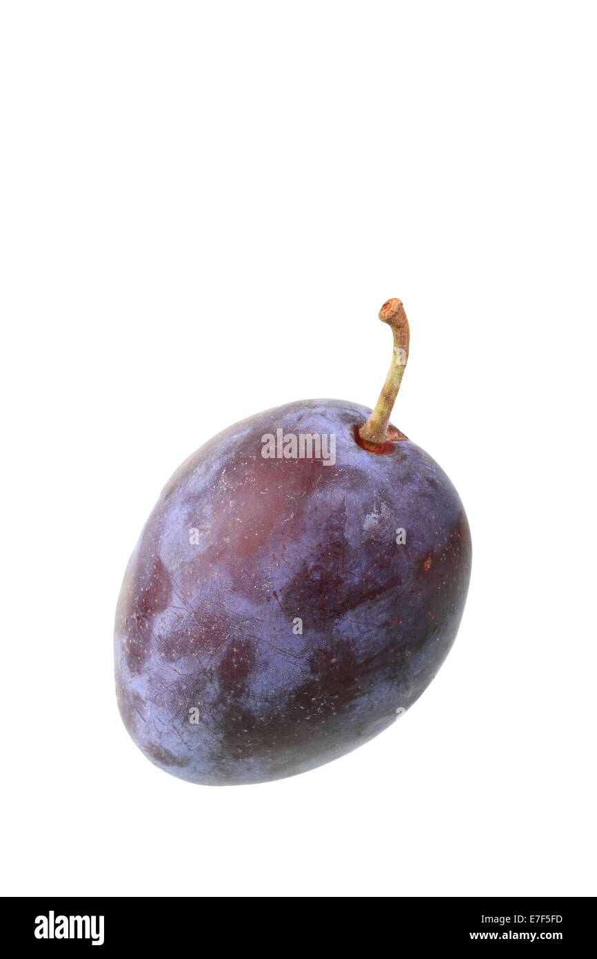 Italian plum Stock Photo