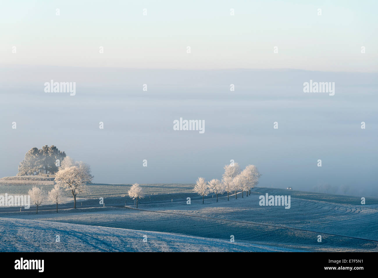 Country road with frost at Witthoh ridge, Hegau, Baden-Württemberg, Germany Stock Photo