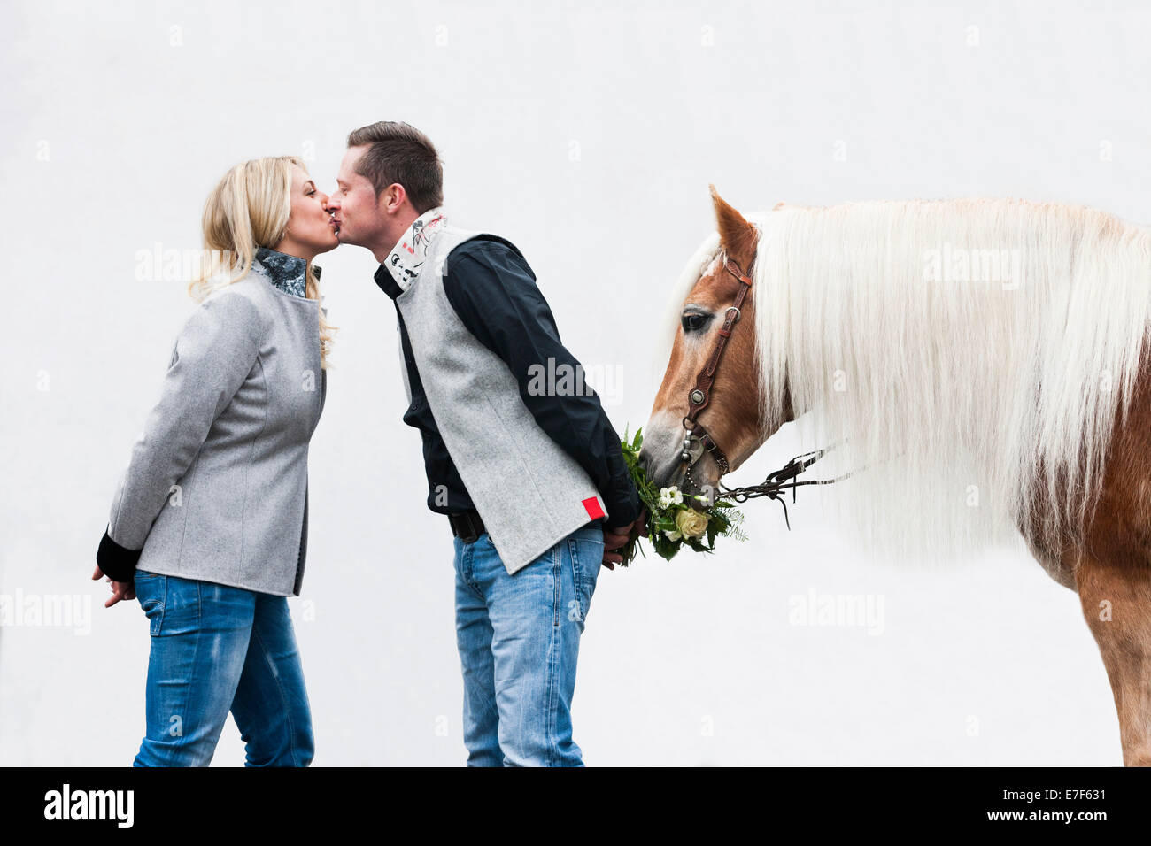 Man and woman kissing, Tyrolean Haflinger eating flowers, North Tyrol, Austria Stock Photo