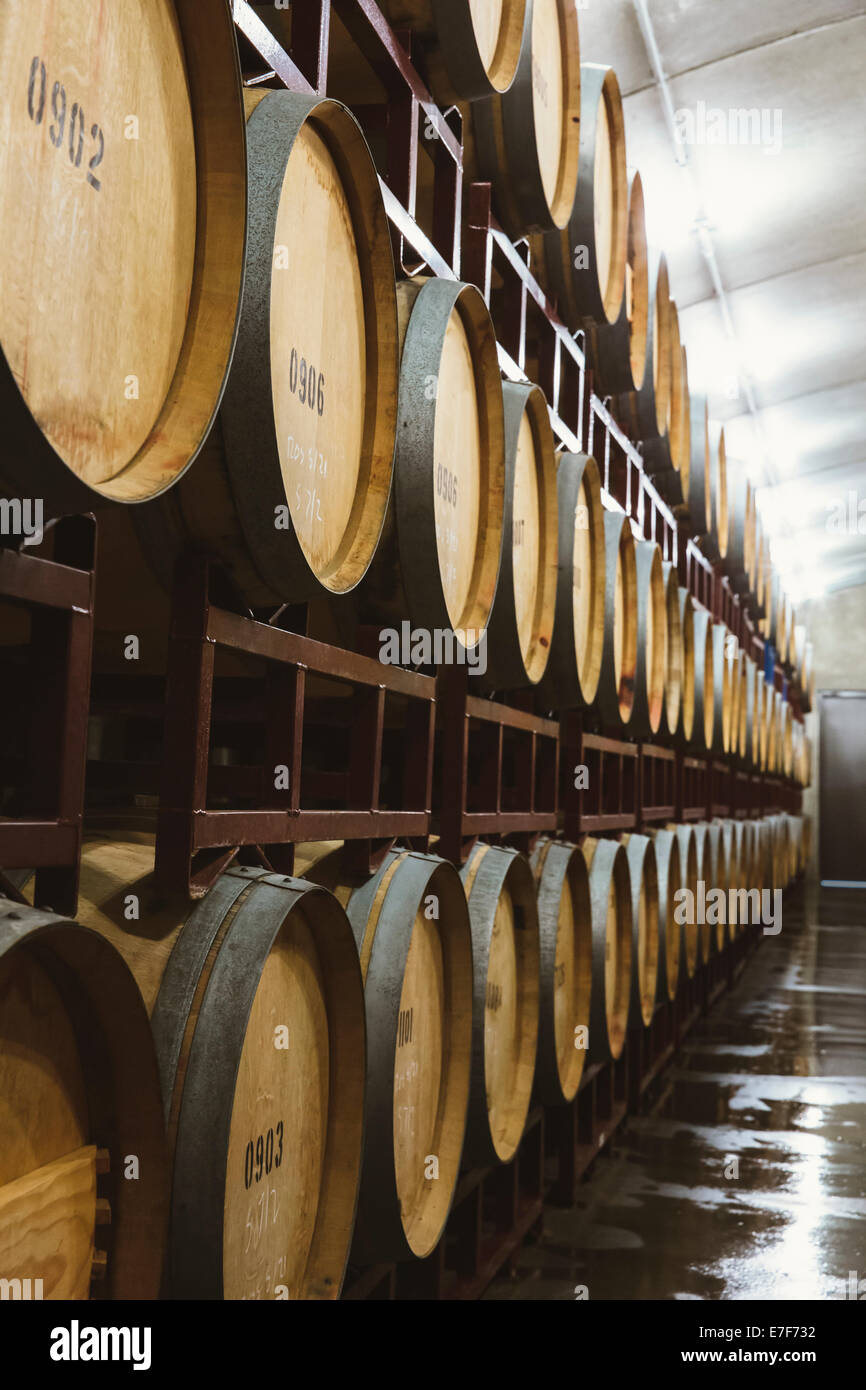 Wine barrels aging Stock Photo Alamy