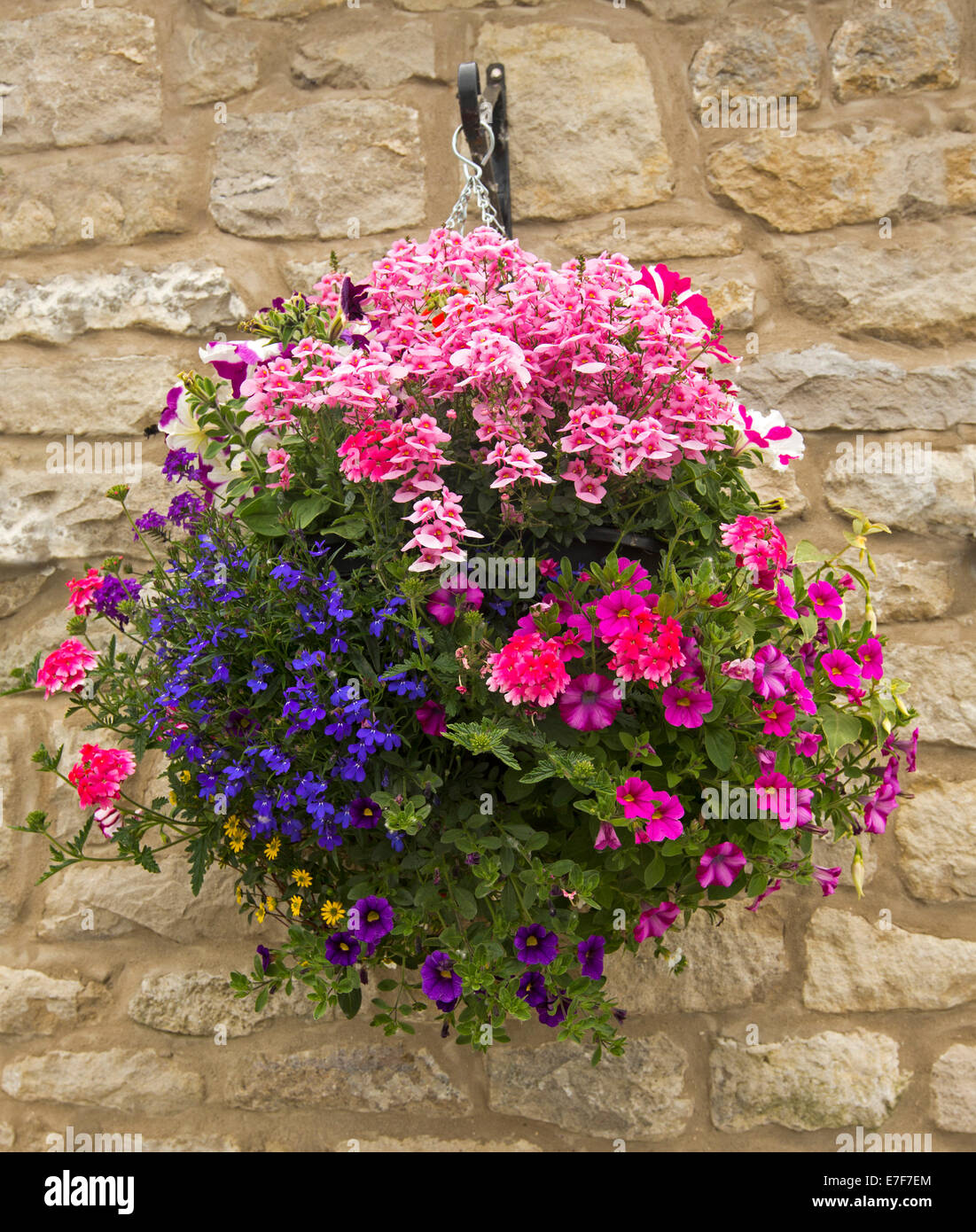 Hanging basket with spectacular mass of brightly coloured pink, red, blue flowers, lobelia, petunias, and dianthus, against light brown stone wall Stock Photo