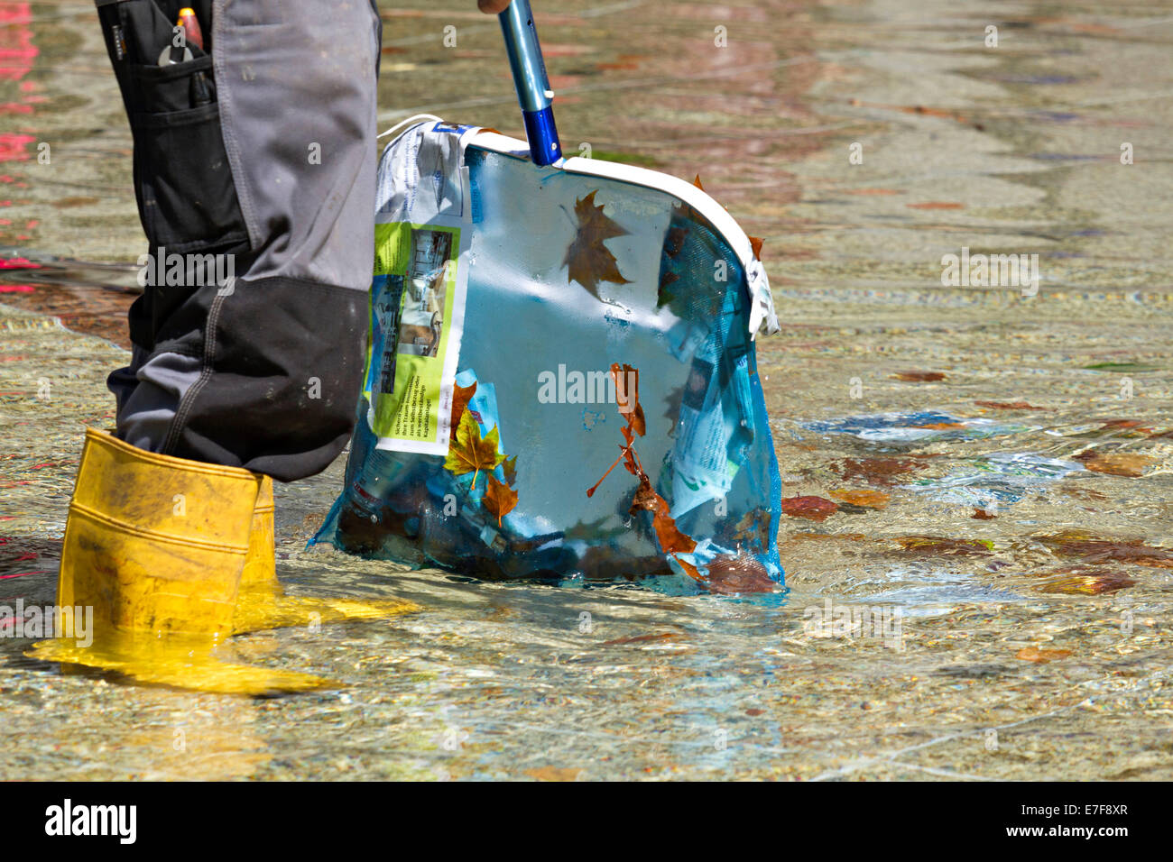 Leaves being removed from water by a worker Stock Photo