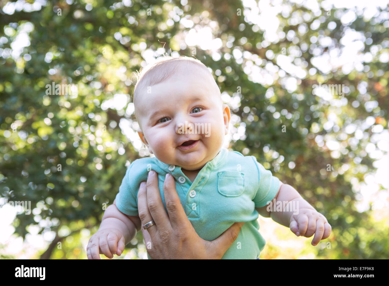 Caucasian baby lifted in air outdoors Stock Photo