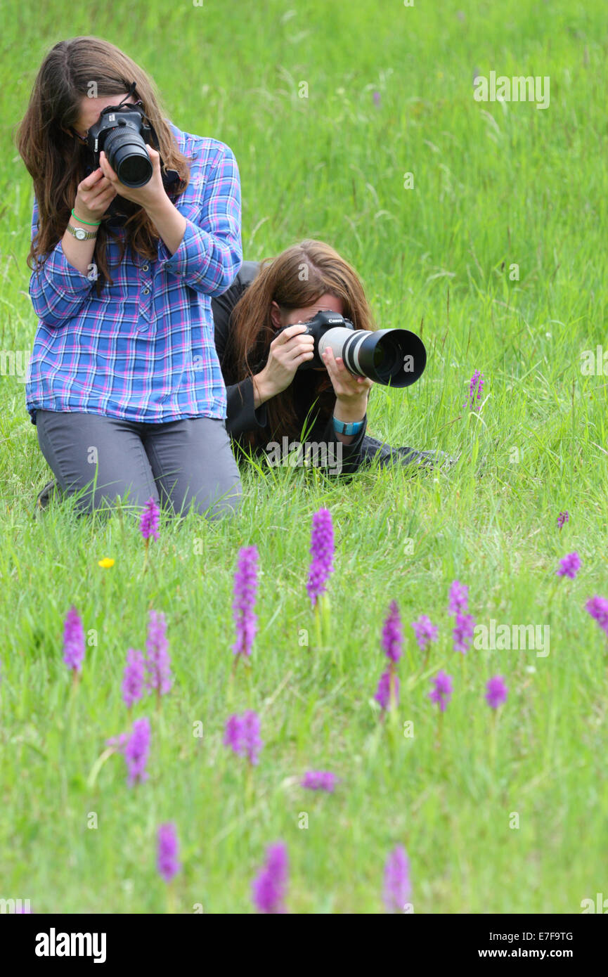A womans taking pictures of Early purple orchids (Orchis mascula). Europe Stock Photo