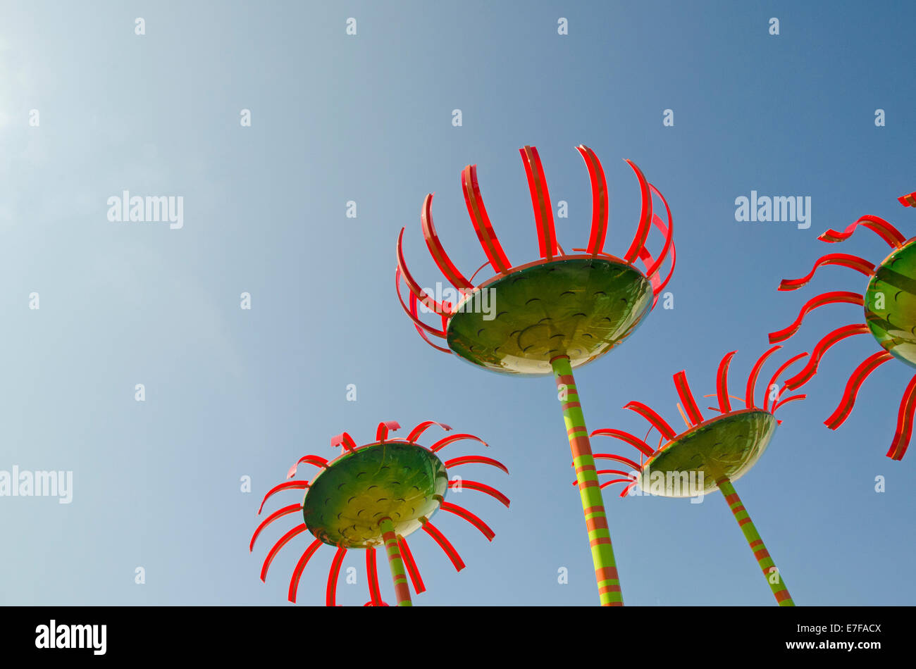 Glass flowers hires stock photography and images Alamy