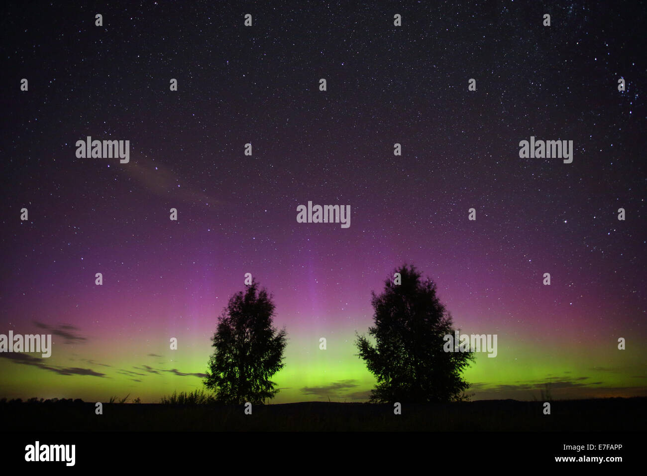 Northern lights (Aurora Borealis). Europe, Estonia Stock Photo