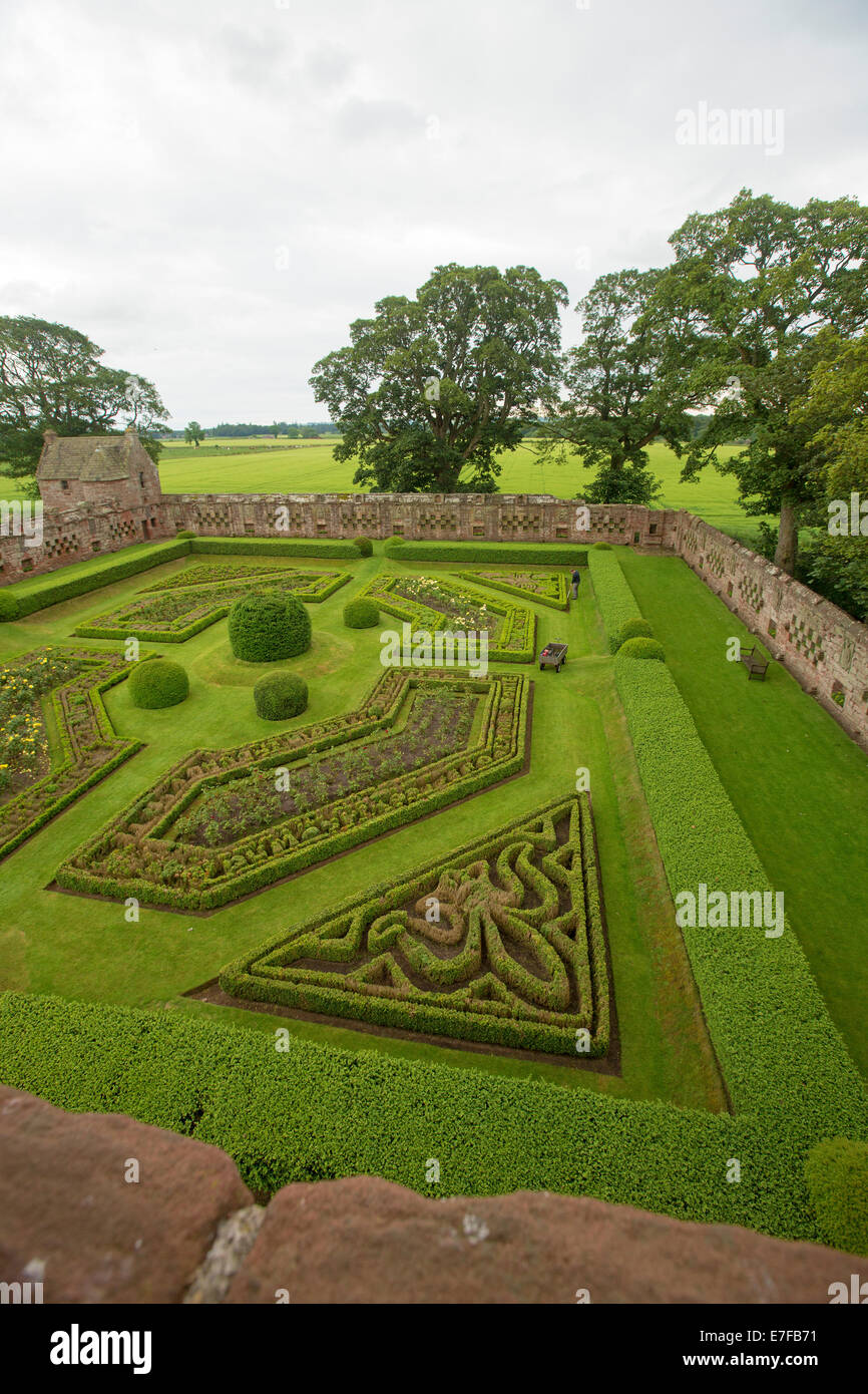 Elegant formal walled garden with low yew hedges in intricate geometric designs at historic Edzell castle in Scotland Stock Photo