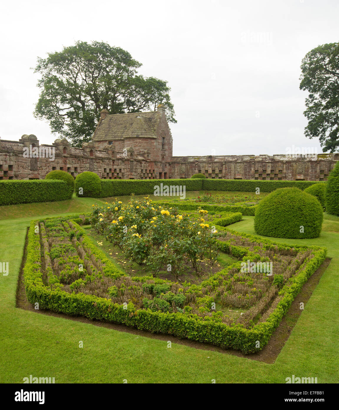 Elegant formal walled garden with low yew hedges in intricate geometric designs and yellow flowering roses at historic Edzell castle in Scotland Stock Photo