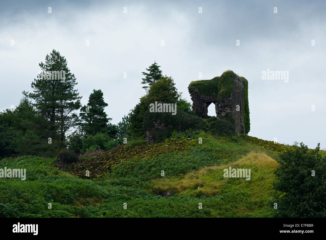 Aros Castle, also known as Dounarwyse Castle, is a ruined 13th-century castle near Salen on the Isle of Mull. Stock Photo