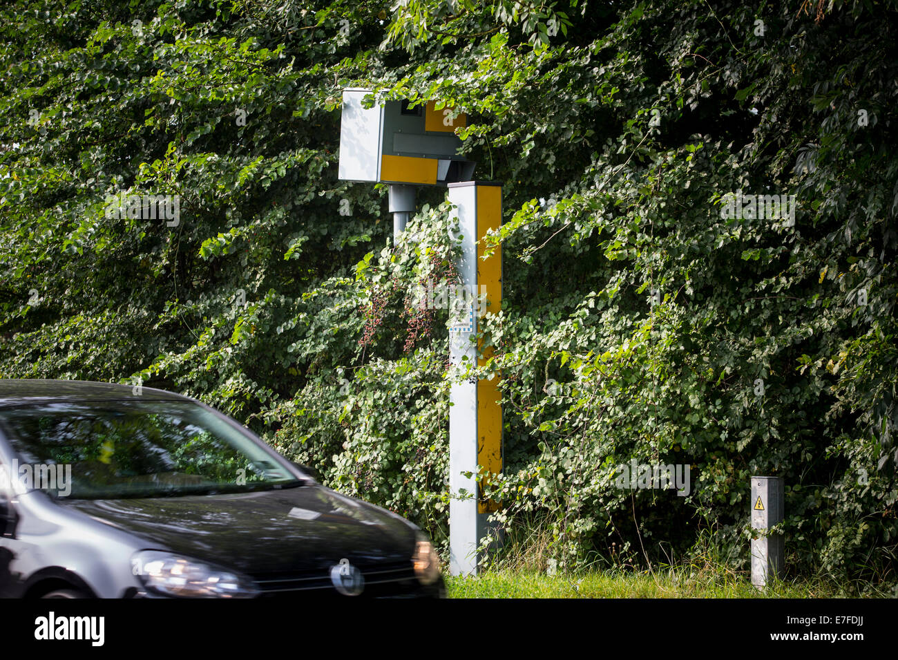 A police speed detection traffic camera in overgrown hedgerow ...