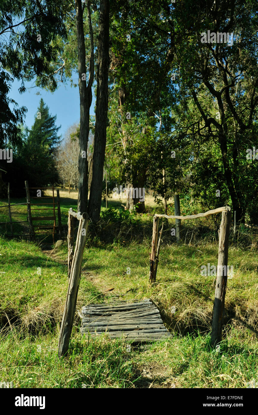 Hogsback, Eastern Cape, South Africa, rustic wooden foot bridge over stream on farm Stock Photo