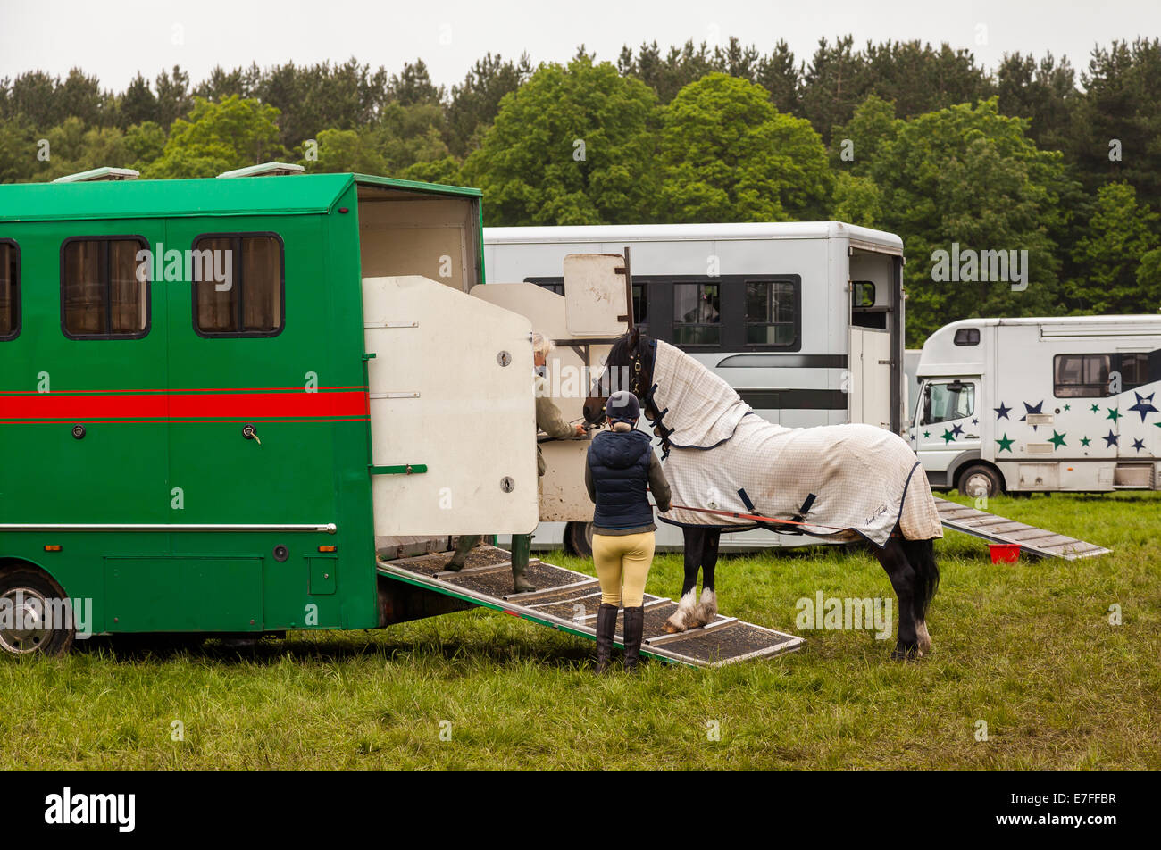 Staffordshire County Show 2014,Two women leading horse into horse box in muddy field after heavy rain at the end of county show Stock Photo