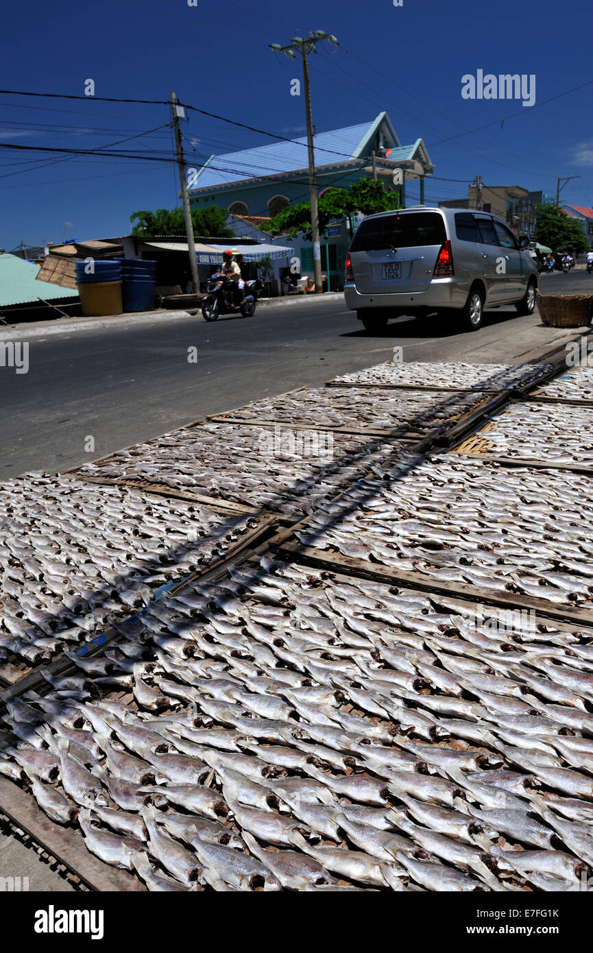 Racks of fish drying in the sun by the side of the road. Ben Da fishing village, Vung Tau, Vietnam Stock Photo