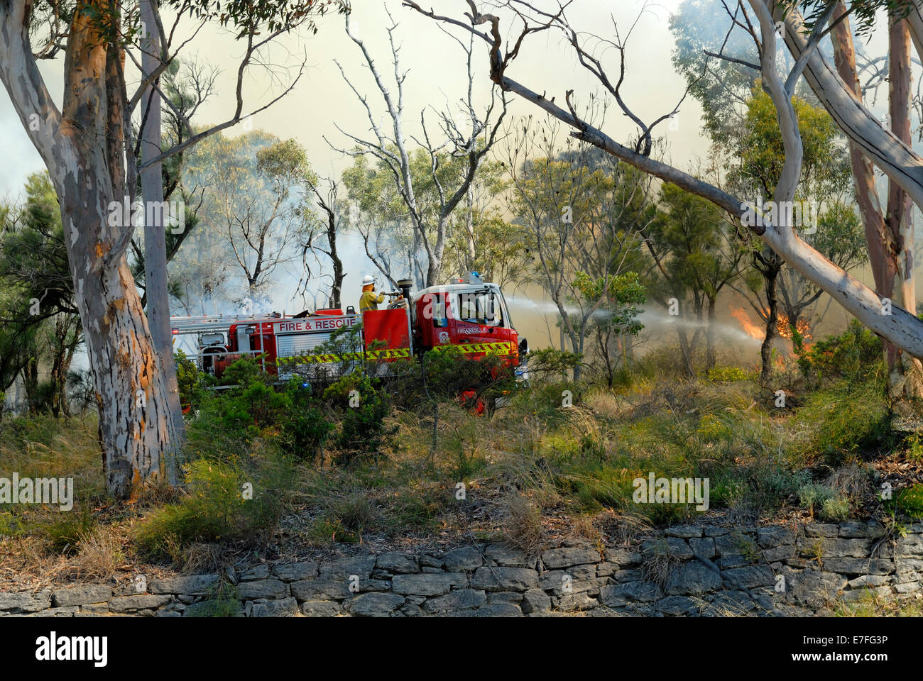 Firetruck tending to small bushfire in Kings Park and Botanic Garden. Perth, Western Australia Stock Photo