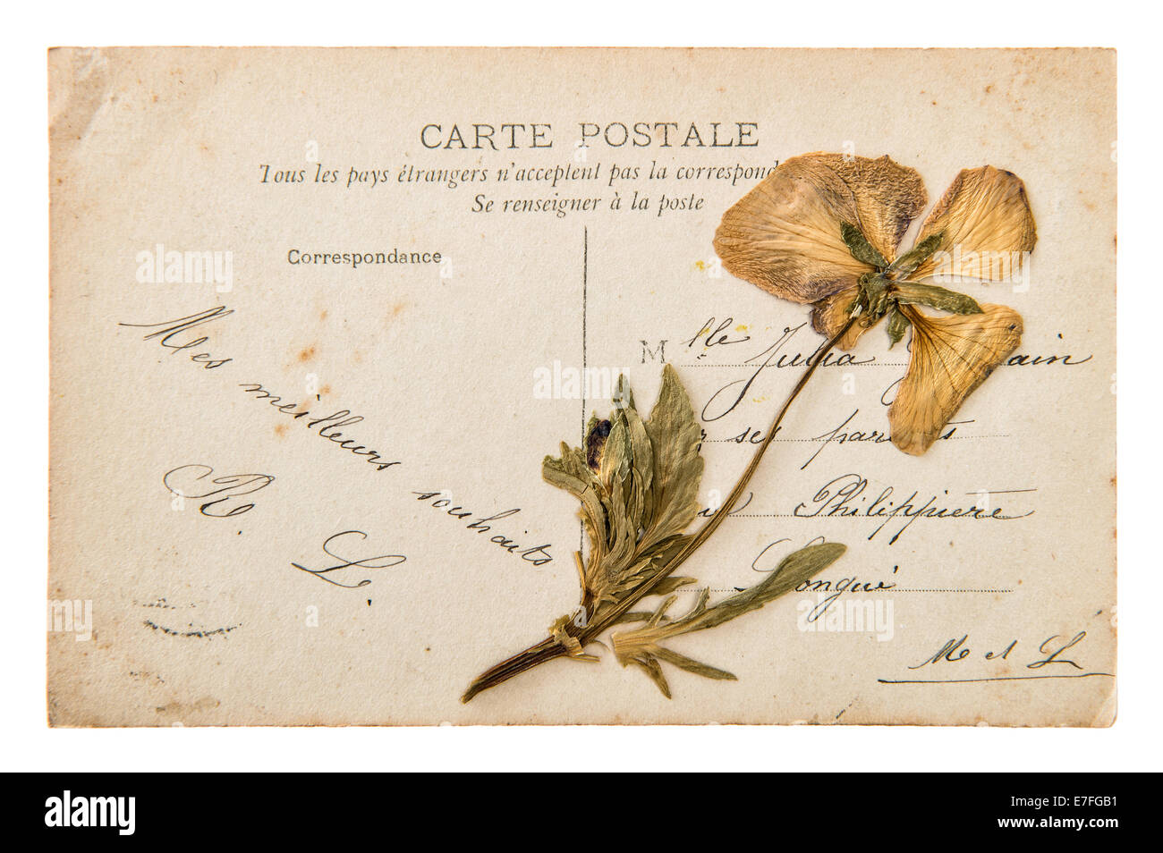 antique french postcard with dry pansy flower. handwritten vintage mail. nostalgic sentimental background Stock Photo