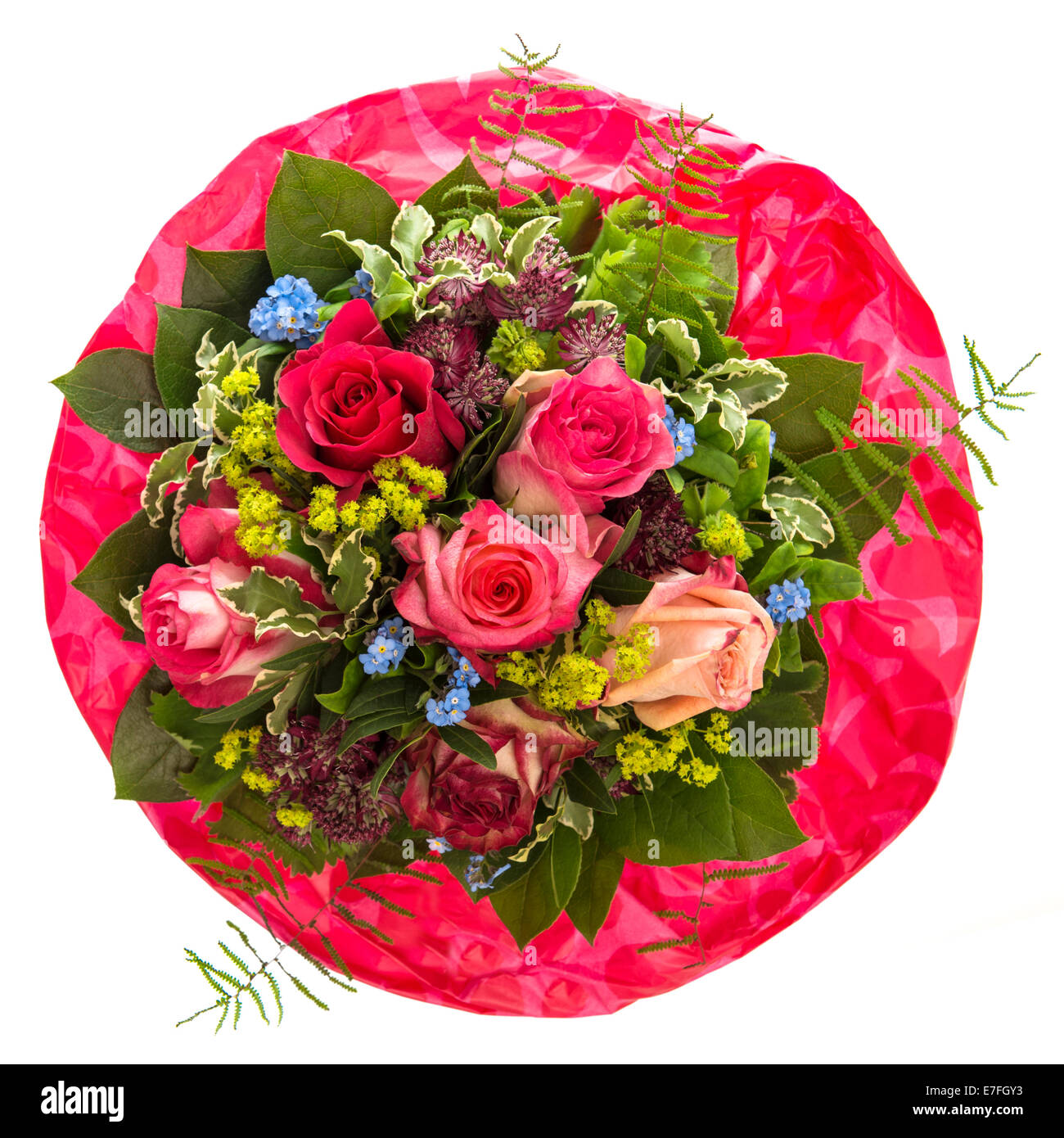 bouquet of red and pink roses isolated on white background Stock Photo Alamy