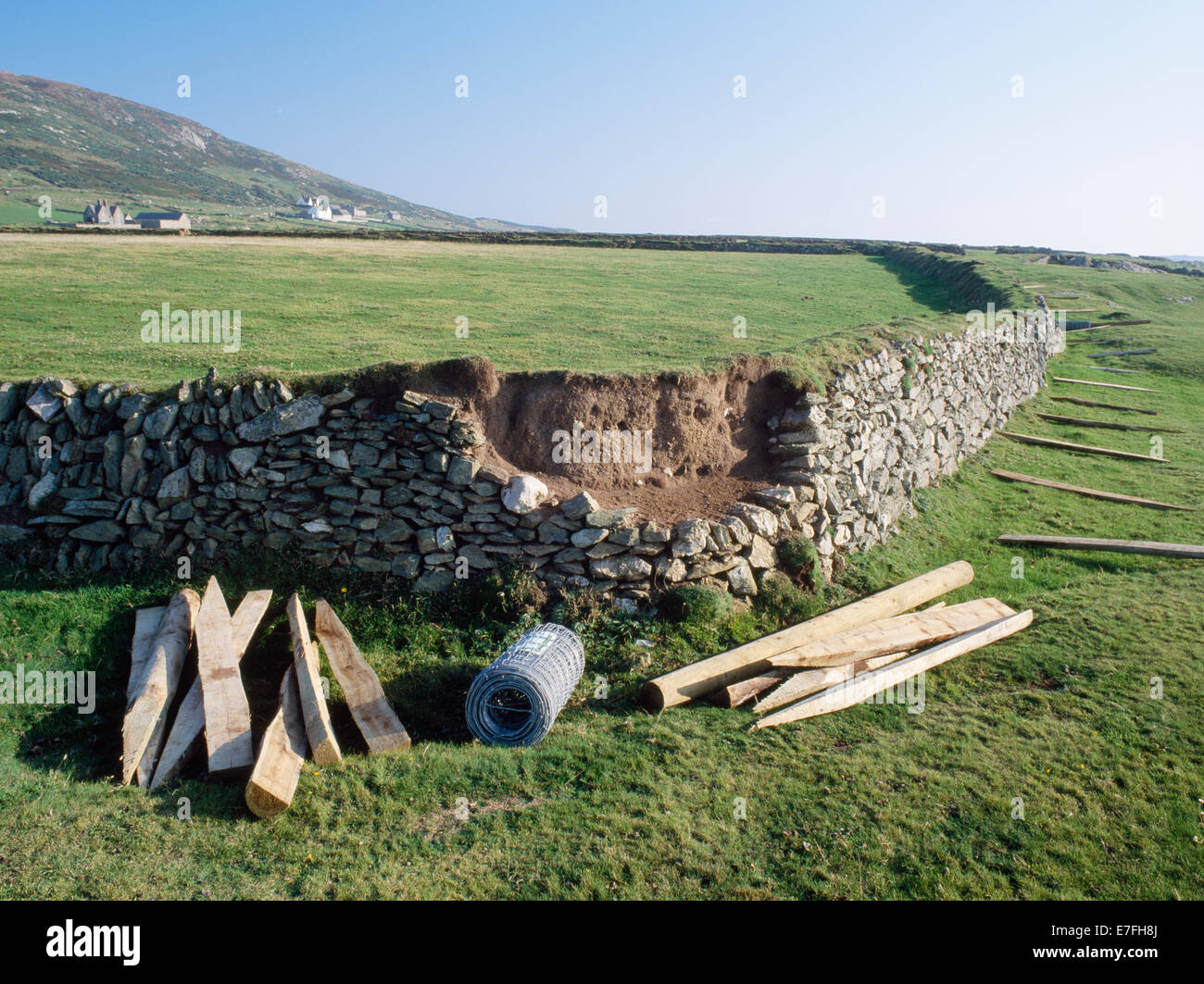 Bardsey Island, North Wales: eroded stoned-faced field bank with posts & wire laid out for fencing in September 1993 to allow more efficient grazing. Stock Photo