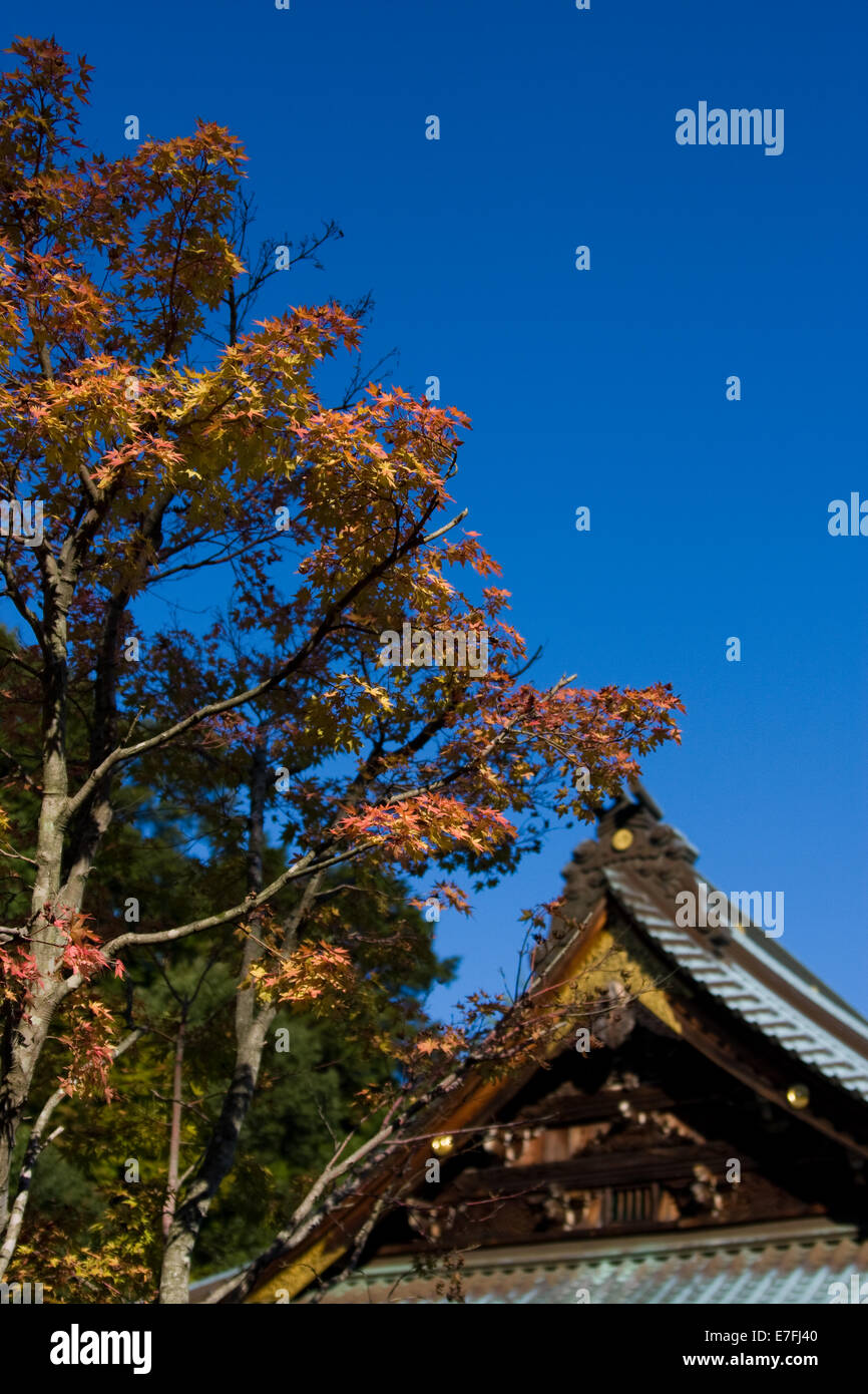 Daisho-in temple on Mount Misen, on the island of Itsukushima (Miyajima), Hiroshima Japan Stock Photo
