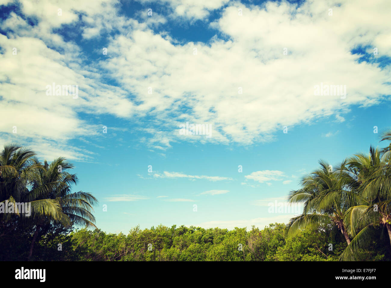 green forest and cloudy blue sky Stock Photo - Alamy