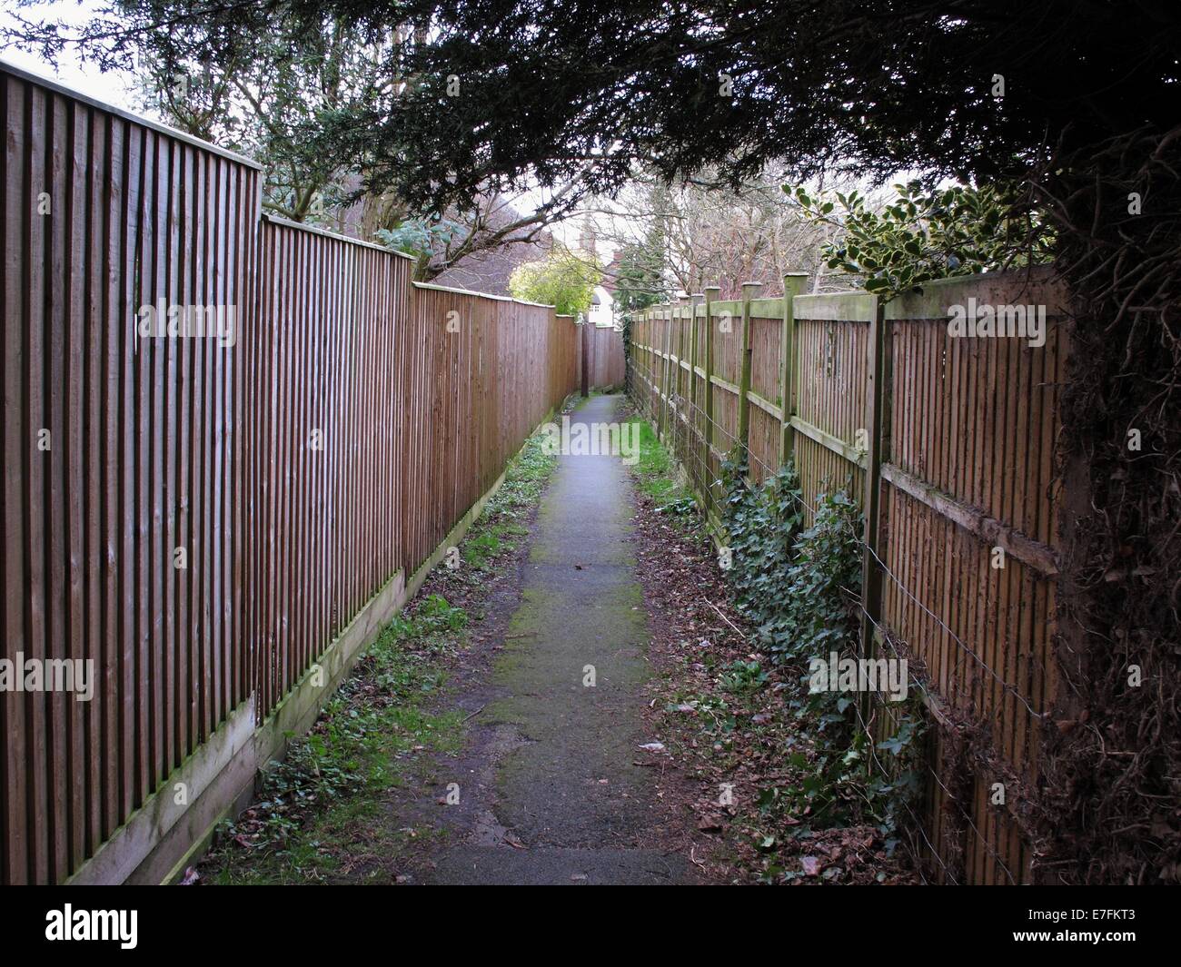 Narrow pathway between two high fences, Welford on Avon, Warwickshire Stock Photo