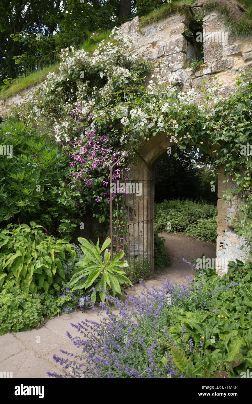 Flower covered arched doorway Stock Photo