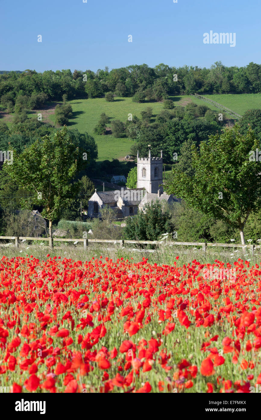 Poppy field and St Andrew's Church, Naunton, Cotswolds, Gloucestershire, England, United Kingdom, Europe Stock Photo