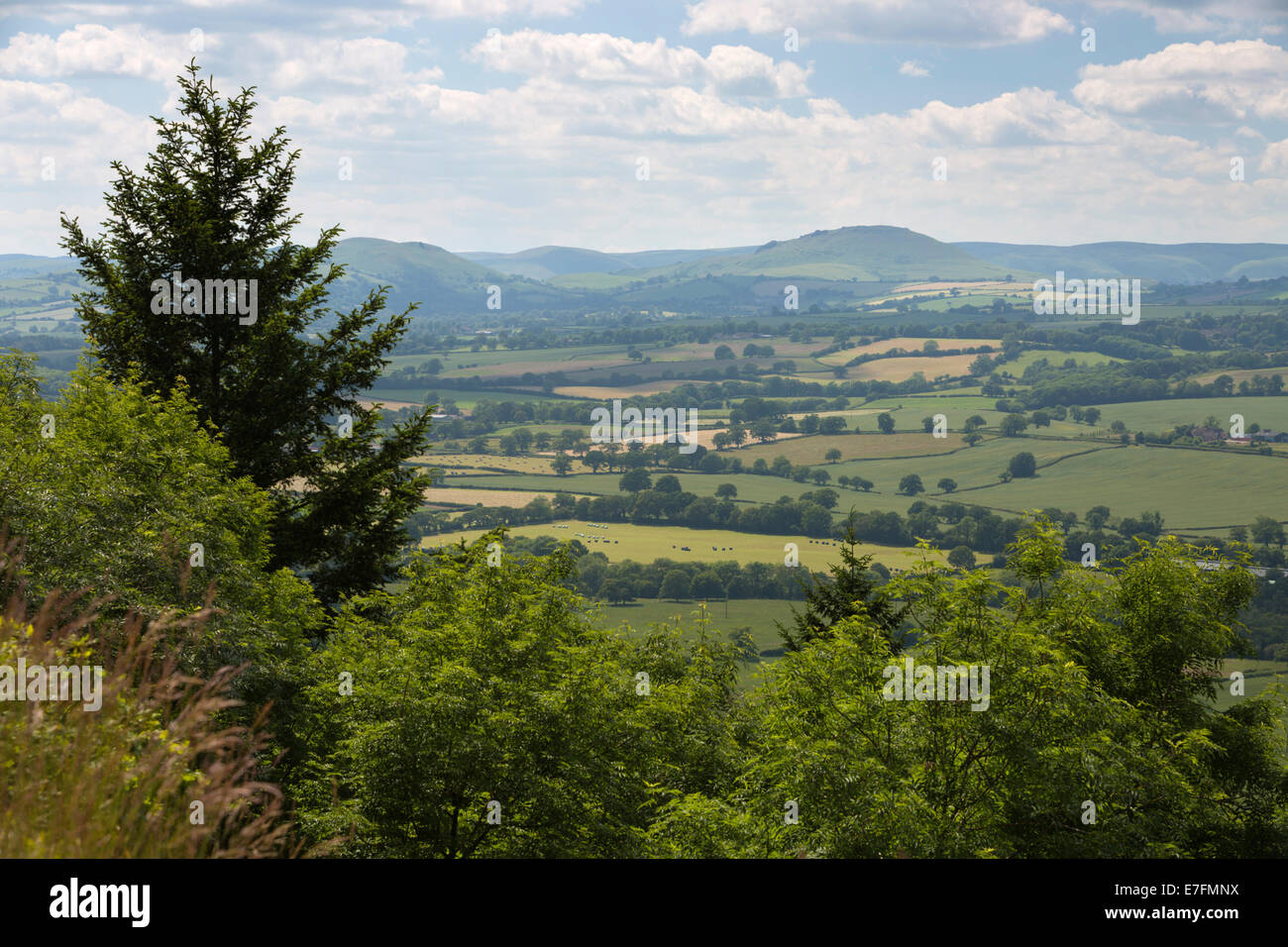 View of farmland from Wenlock Edge, near Much Wenlock, Shropshire, England, United Kingdom, Europe Stock Photo