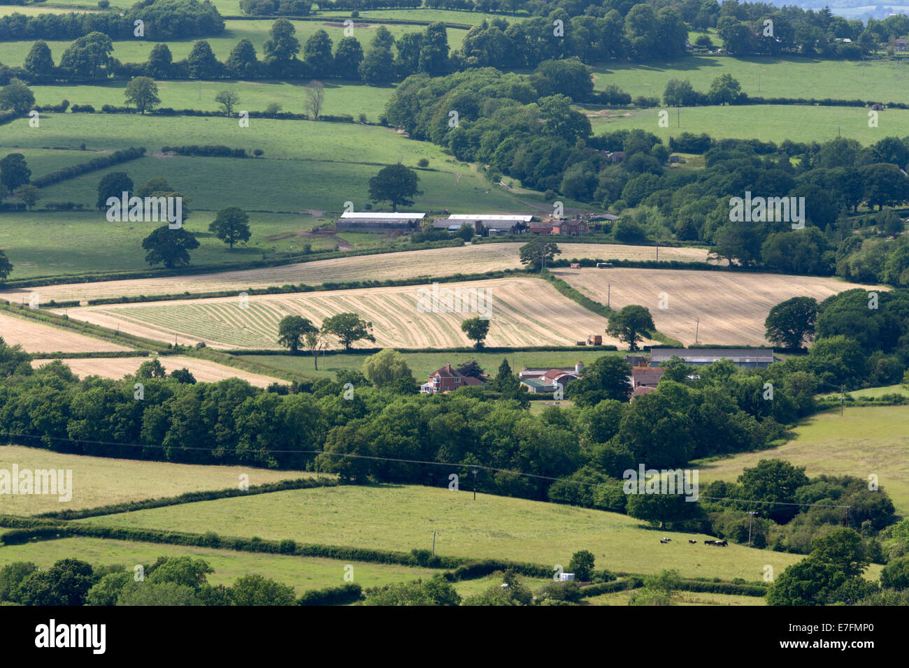 View of farmland from Wenlock Edge, near Much Wenlock, Shropshire, England, United Kingdom, Europe Stock Photo