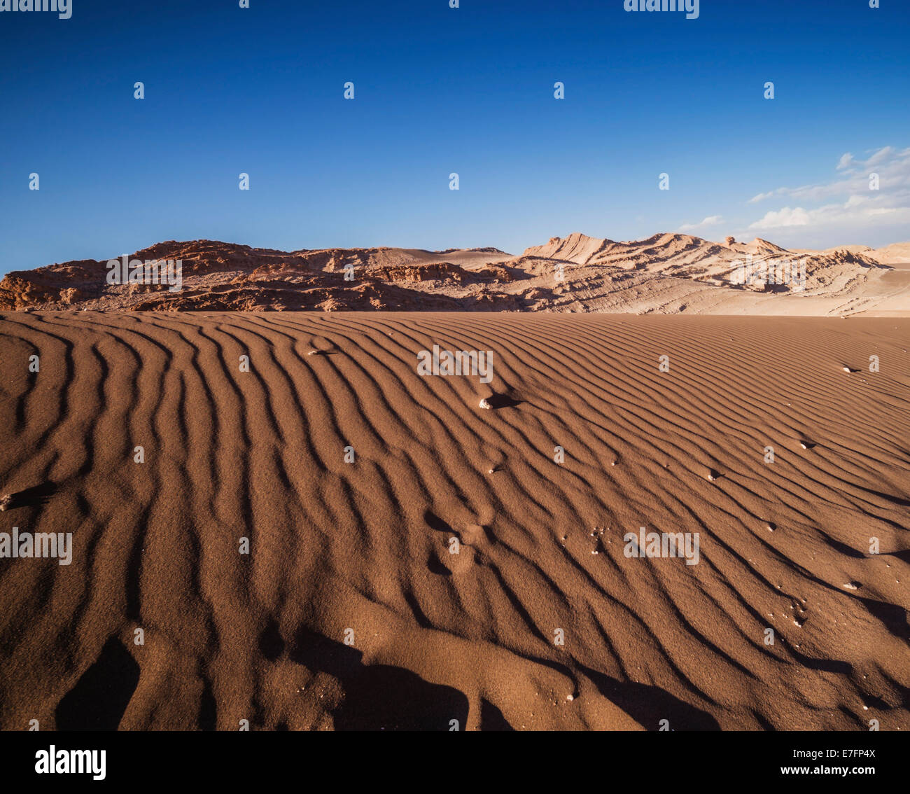 Самая крупная пустыня на земле. Чили пустыня Атакама. Южная Америка пустыня Атакама. Чили Америка пустыня Атакама. Атакама Чили самая сухая ПУ.