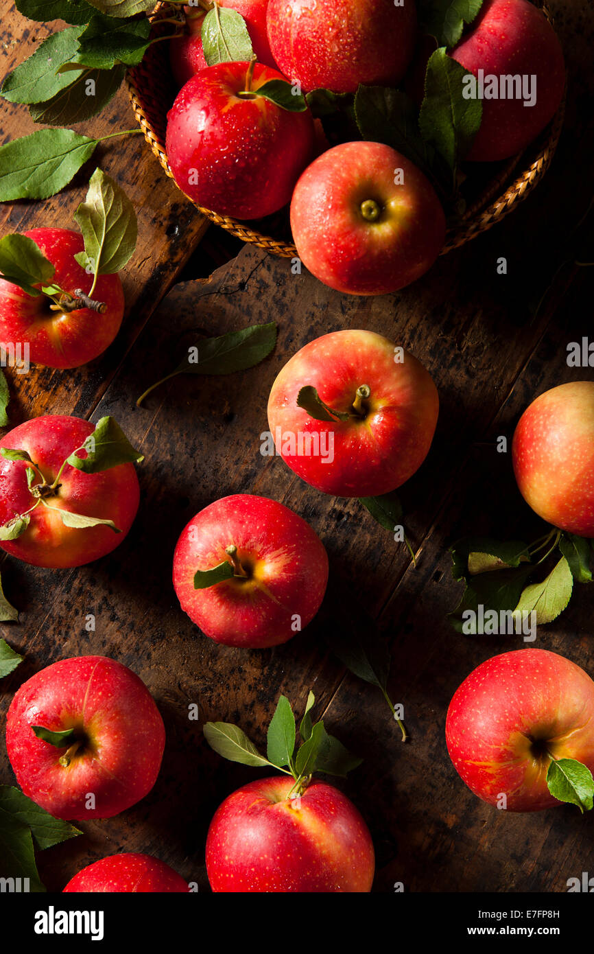 Raw Organic Red Gala Apples Ready to Eat Stock Photo Alamy