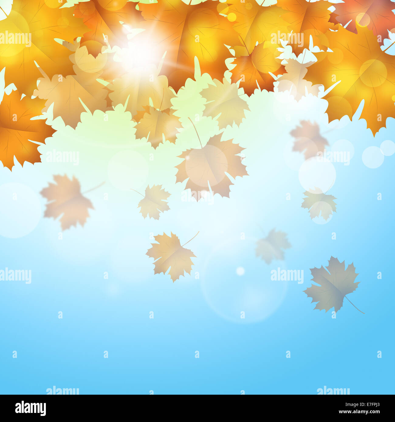 abstract golden autumn sunny background with yellow leaves Stock Photo ...