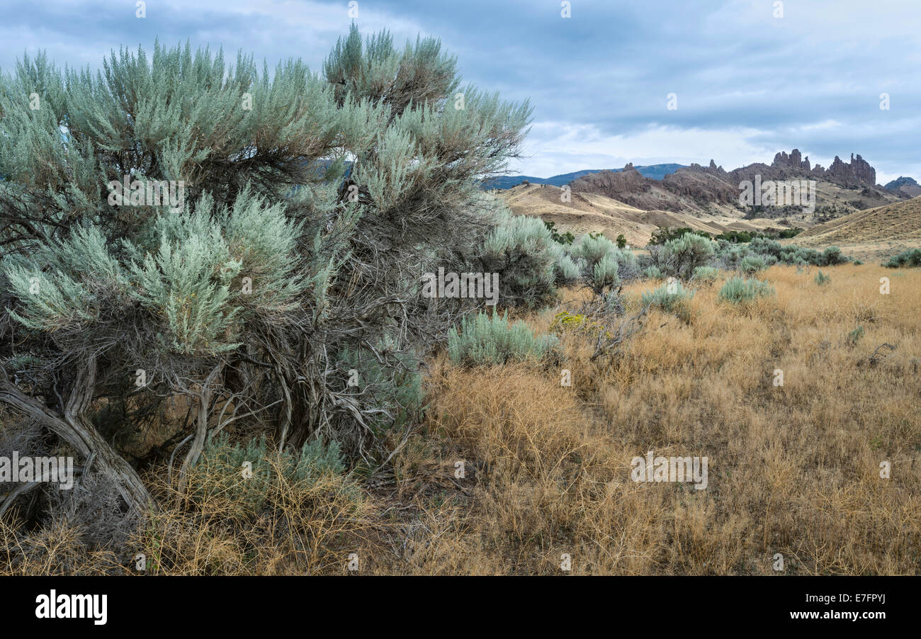 The rugged undulating landscape showing scrub land, rocks, mountains in